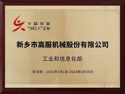 國(guó)家級(jí)專精特新小巨人企業(yè)